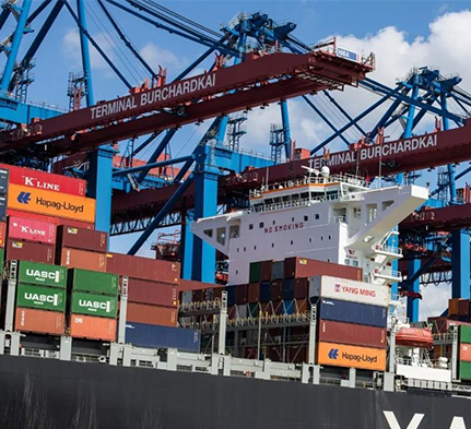 什么是海关数据